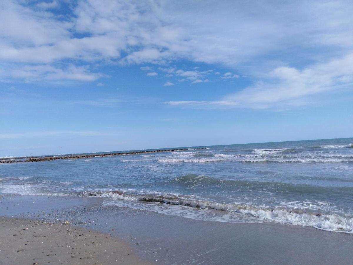 Jolis Studios Vue Sur Mer Port, Etangs Et Canaux Residence Rivercity Carnon-Plage Eksteriør bilde